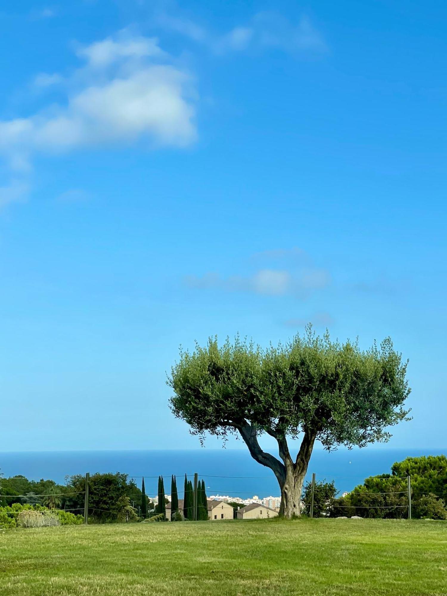 Palm Maresme - Suite With Bathroom And Terrasse With Ocean Views In A Private Villa Біласа-да-Дал Екстер'єр фото